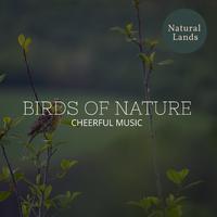Birds of Nature - Cheerful Music