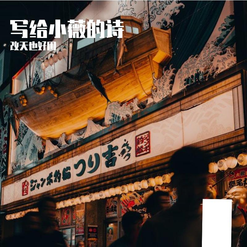 青史入卷封面