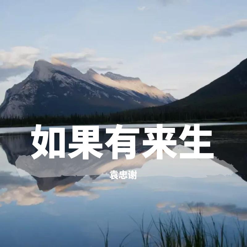 想象之中 - 袁忠谢封面