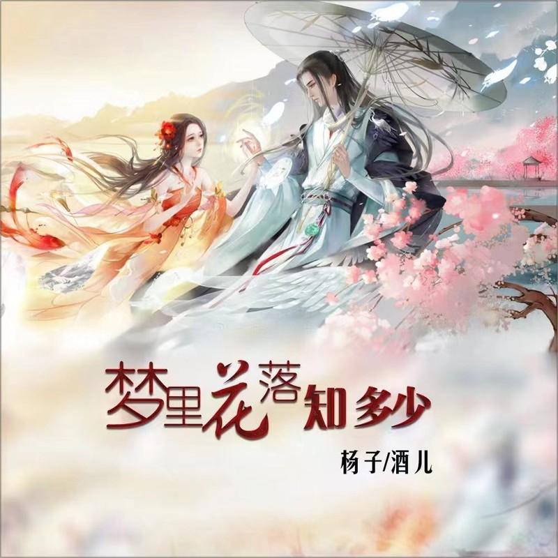 梦里花落知多少 (伴奏) - 酒儿、杨子封面