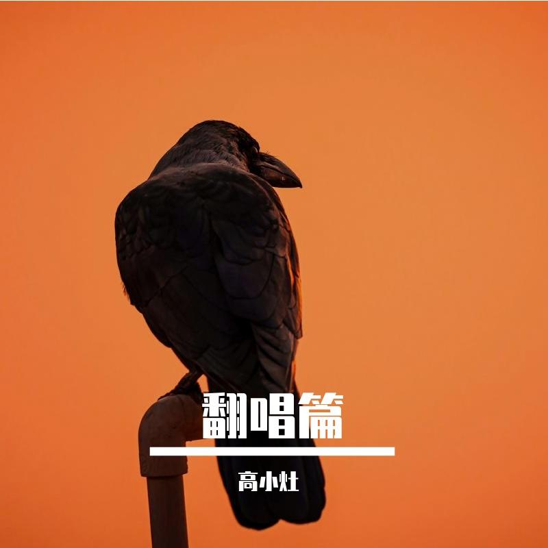 世间始终你好 - 高小灶封面