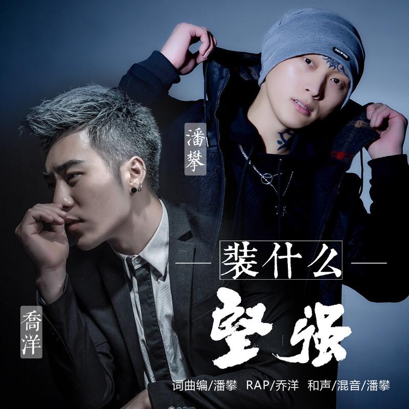 装什么坚强封面
