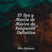 35 Spa y Mezcla de Música de Relajación Definitiva