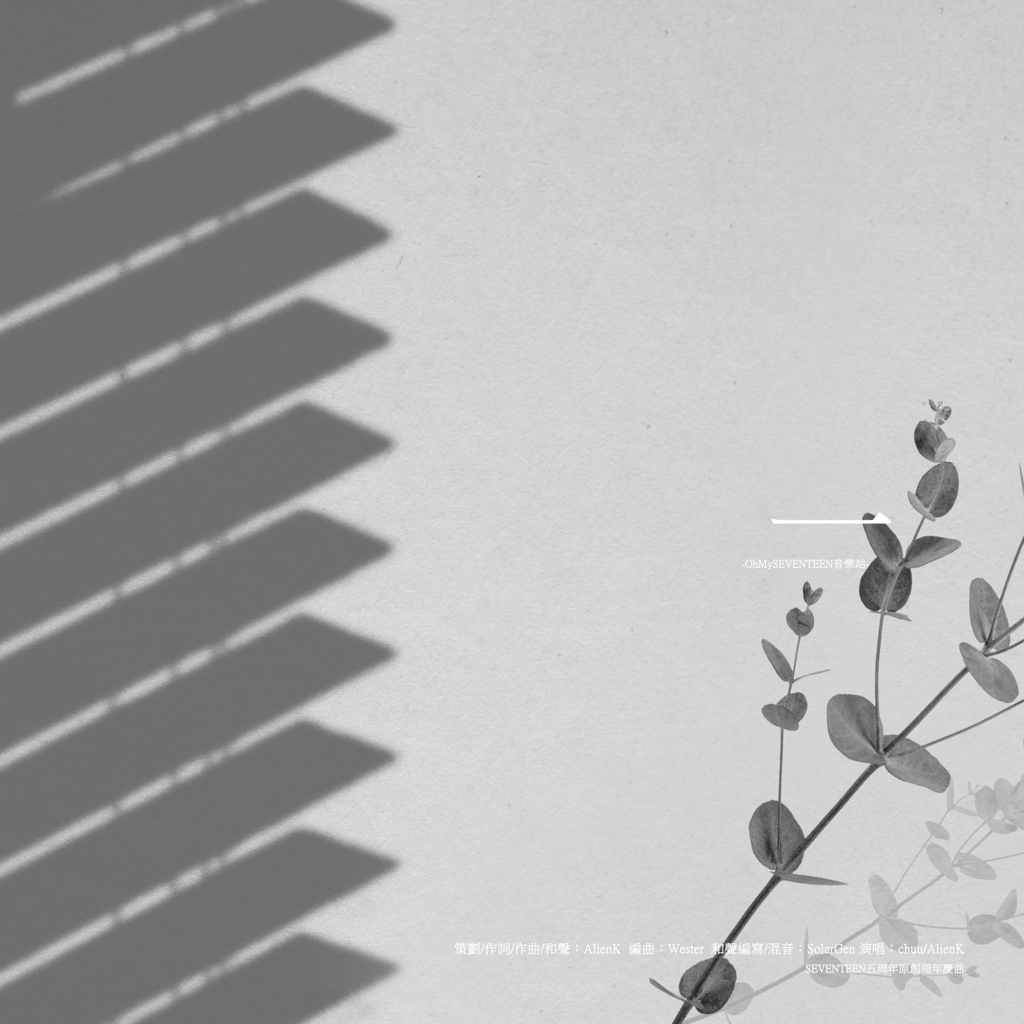 一_含可爱多_一（SEVENTEEN五周年原创应援曲） | 在线播放_一歌词_一下载 | 网易云音乐