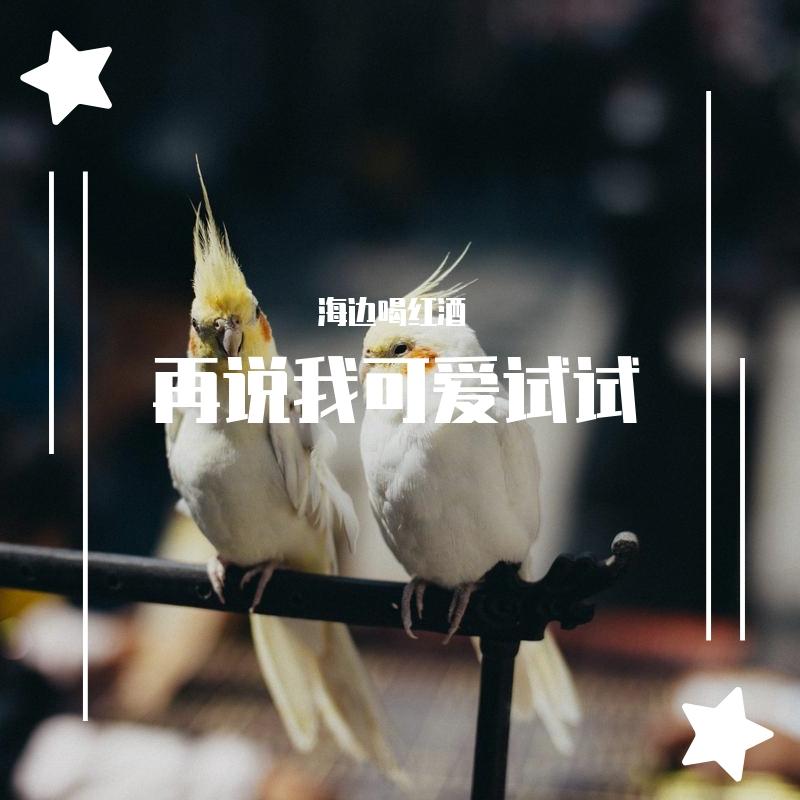 风月佳人 纯音乐封面