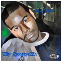 Turf Resurrection