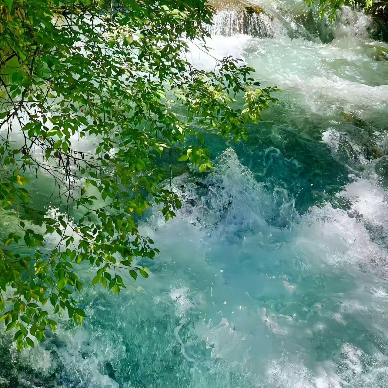 水之梦 - DJ钰钰封面