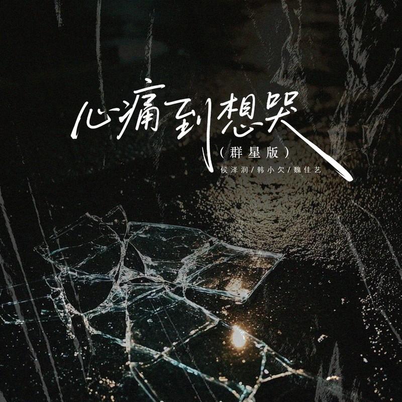 心痛到想哭 (群星版伴奏)封面