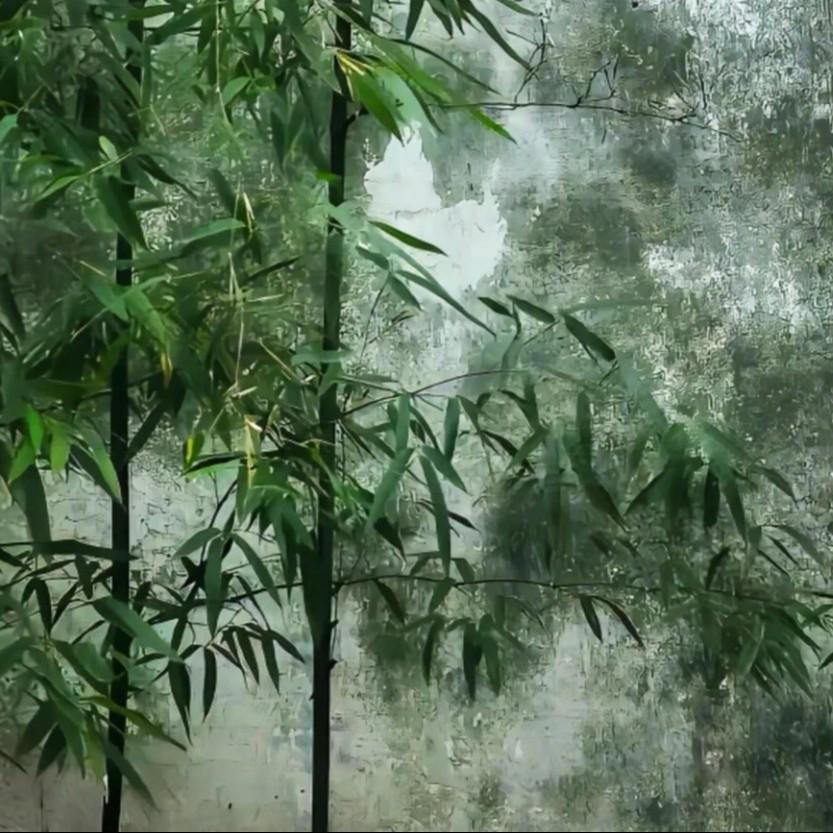 一笑江湖（江湖一笑浪滔滔  红尘尽忘了）封面