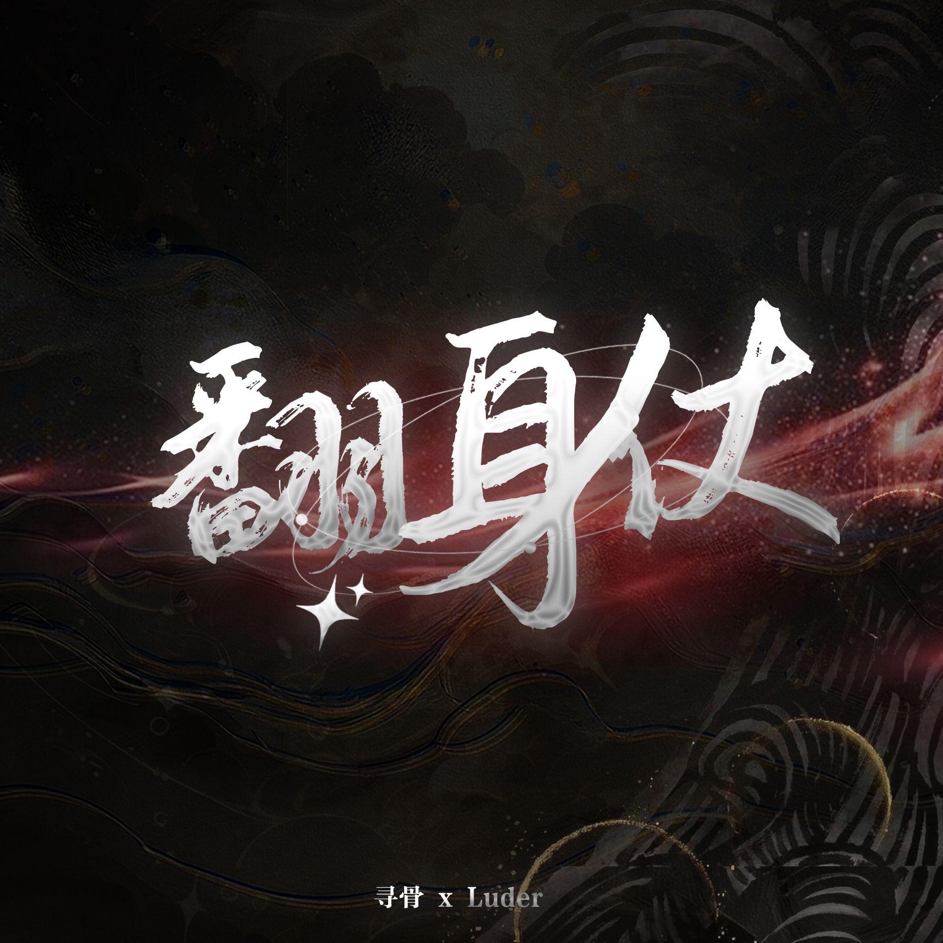 翻身仗封面