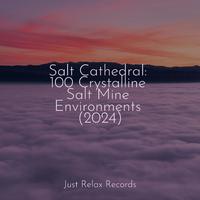 Salt Cathedral: 100 Crystalline Salt Mine Environments (2024)