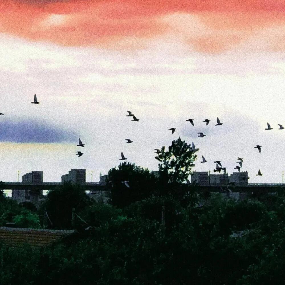 天亮以前说再见（DJ节奏）