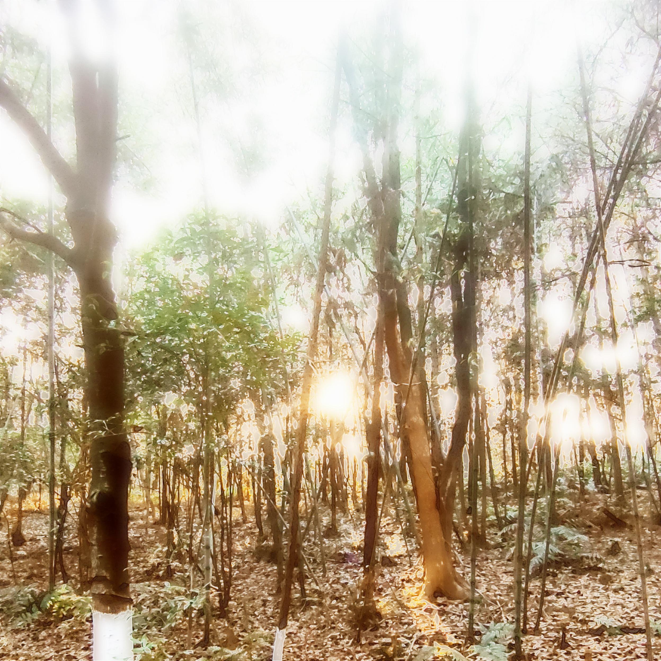 士兵(fakesm1le/fast-v)