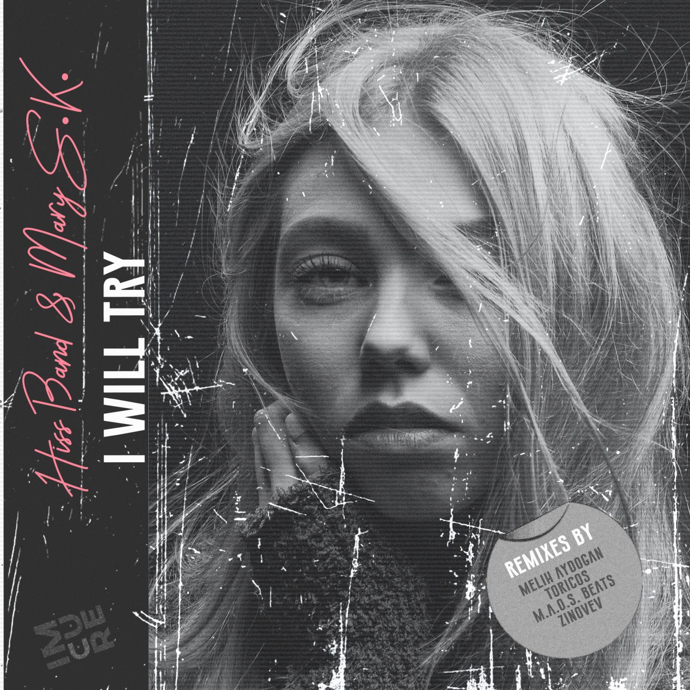 I Will Try (ZINOVEV Remix)