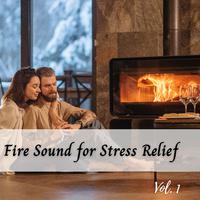 Fire Sound for Stress Relief Vol. 1