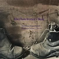 The Plum Women's Blues: The Guitar Music of Wall Matthews (1994-1996), Vol. 3