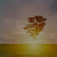 50 Pistas De Lectura Para Meditar Y Conciliar El Sueño