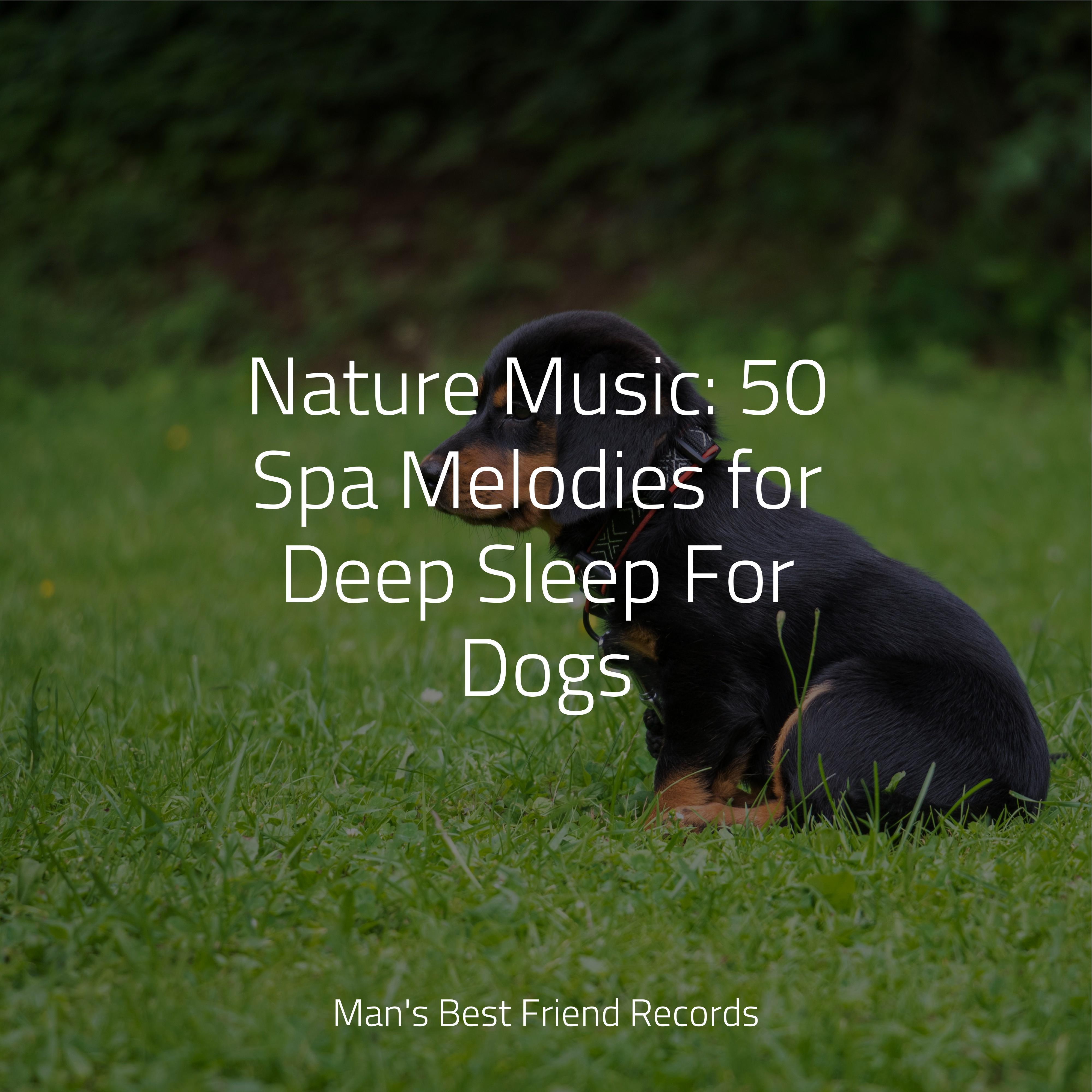 nature-music-50-spa-melodies-for-deep-sleep-for-dogs-calm-doggy