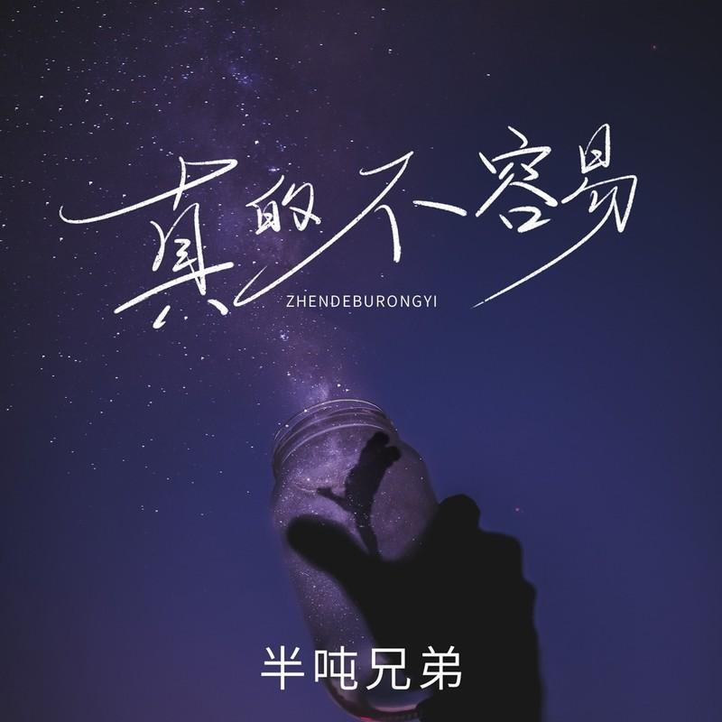 真的不容易封面