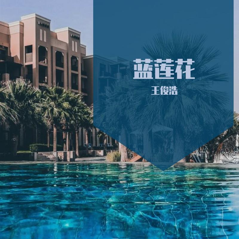 黑夜的秘密封面