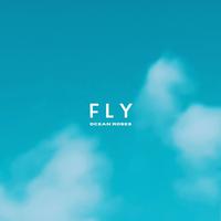 Fly