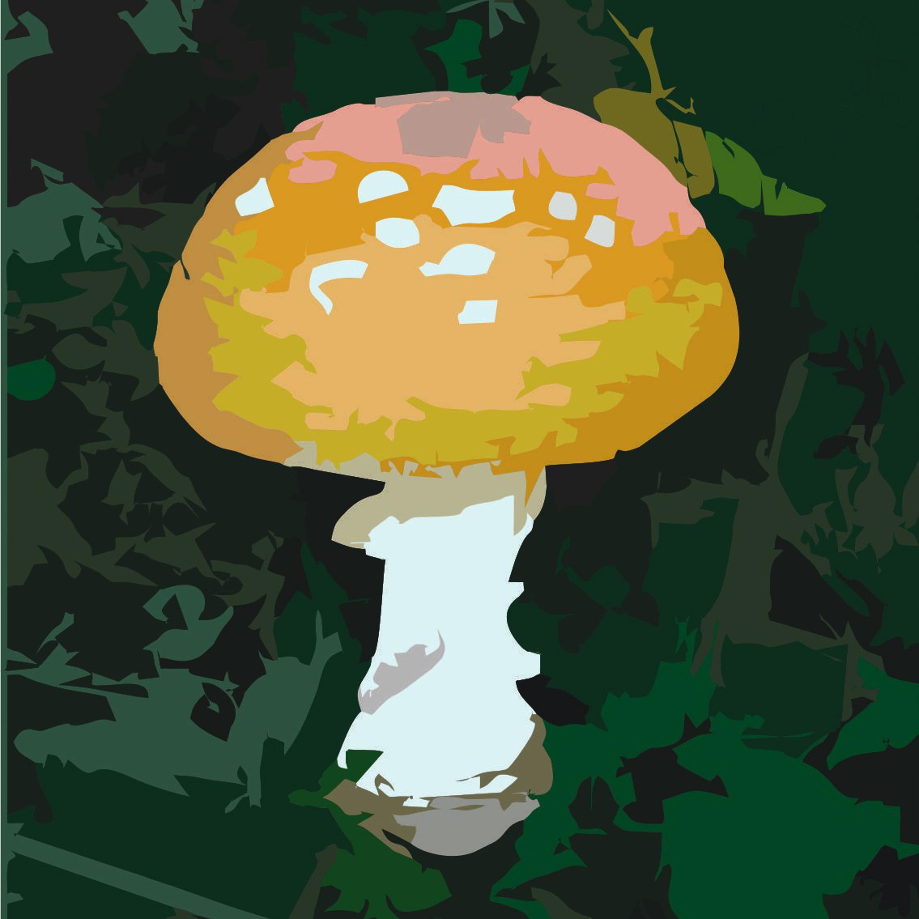 Collective Mycelial Consciousness (Cmc)