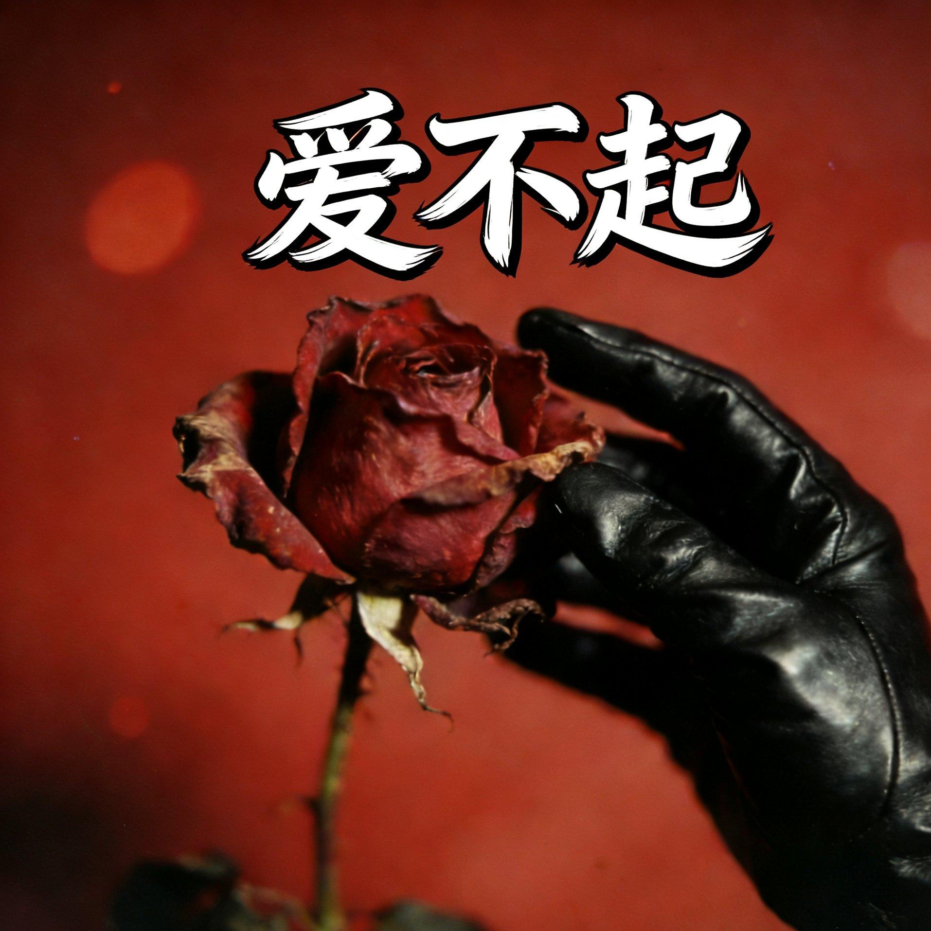 爱不起封面