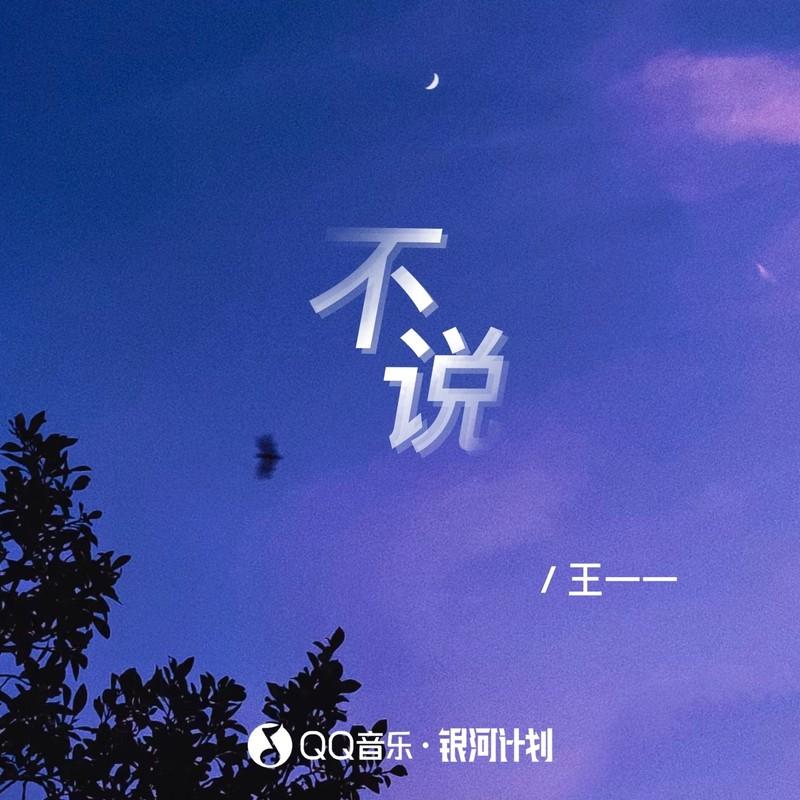 不说 (伴奏)封面