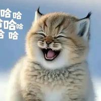 北川汪负雪资料,北川汪负雪最新歌曲,北川汪负雪MV视频,北川汪负雪音乐专辑,北川汪负雪好听的歌