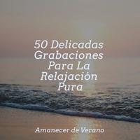 50 Delicadas Grabaciones Para La Relajación Pura