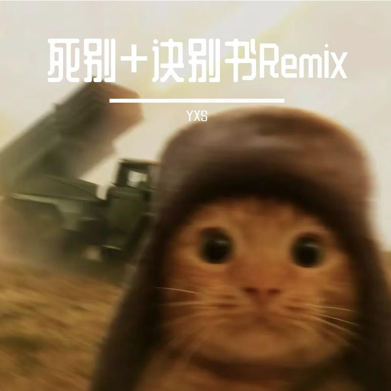 死别+诀别书 Remix（YXS remix）封面