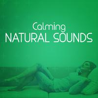 Calming Natural Sounds