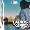 Jose Mendoza - Labios de Cereza (Cover)