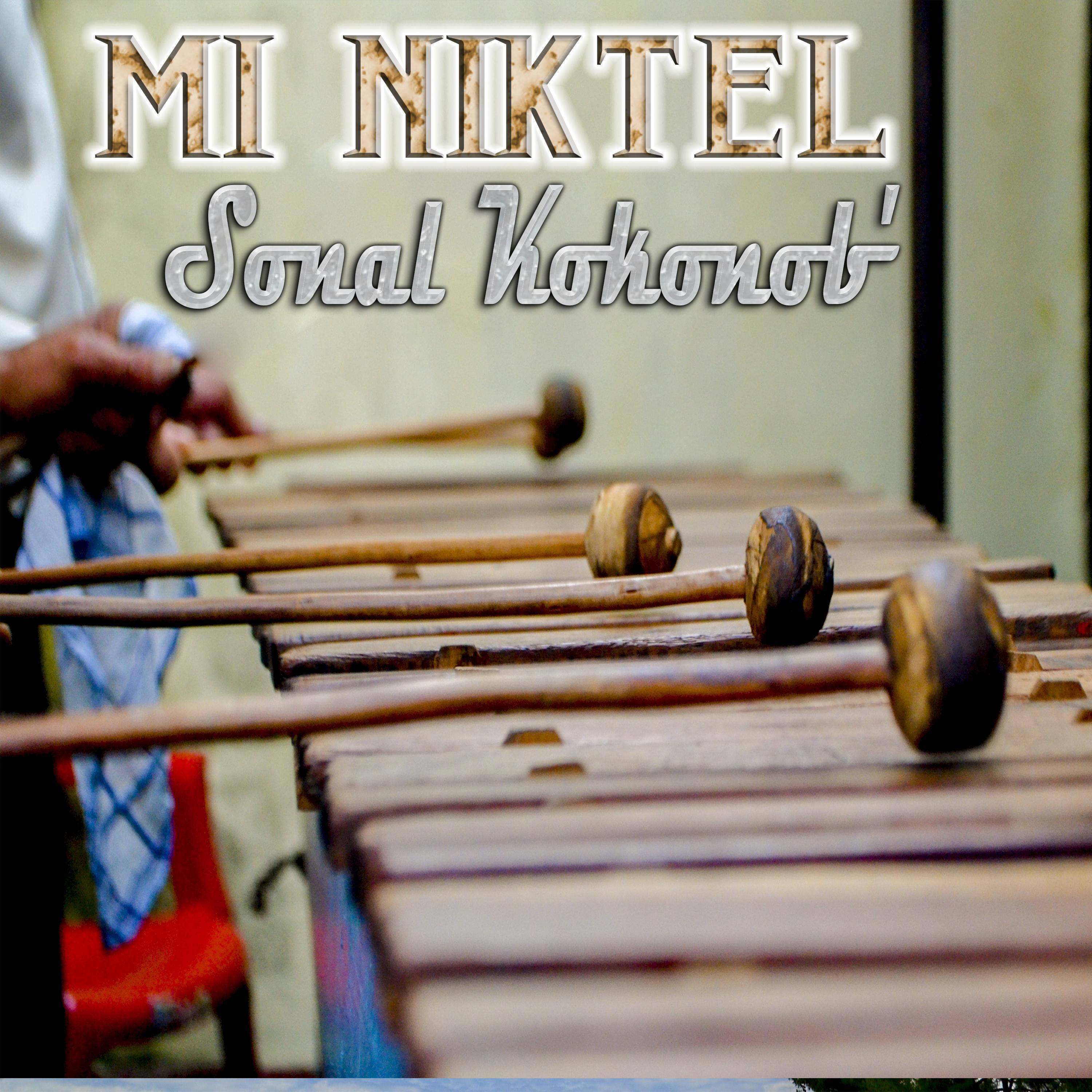 TX'OTX'AL TE' SANIKTE'