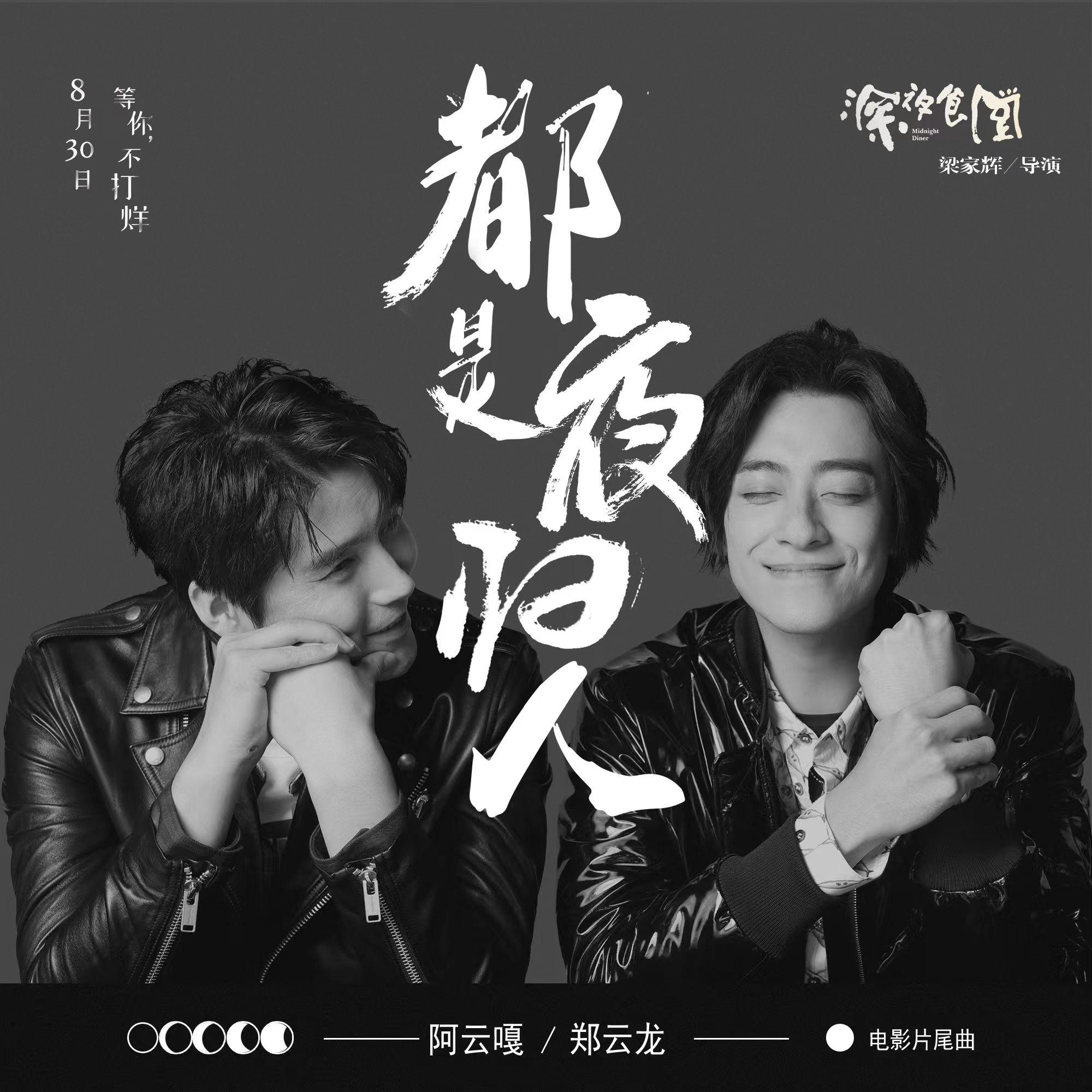 都是夜归人封面