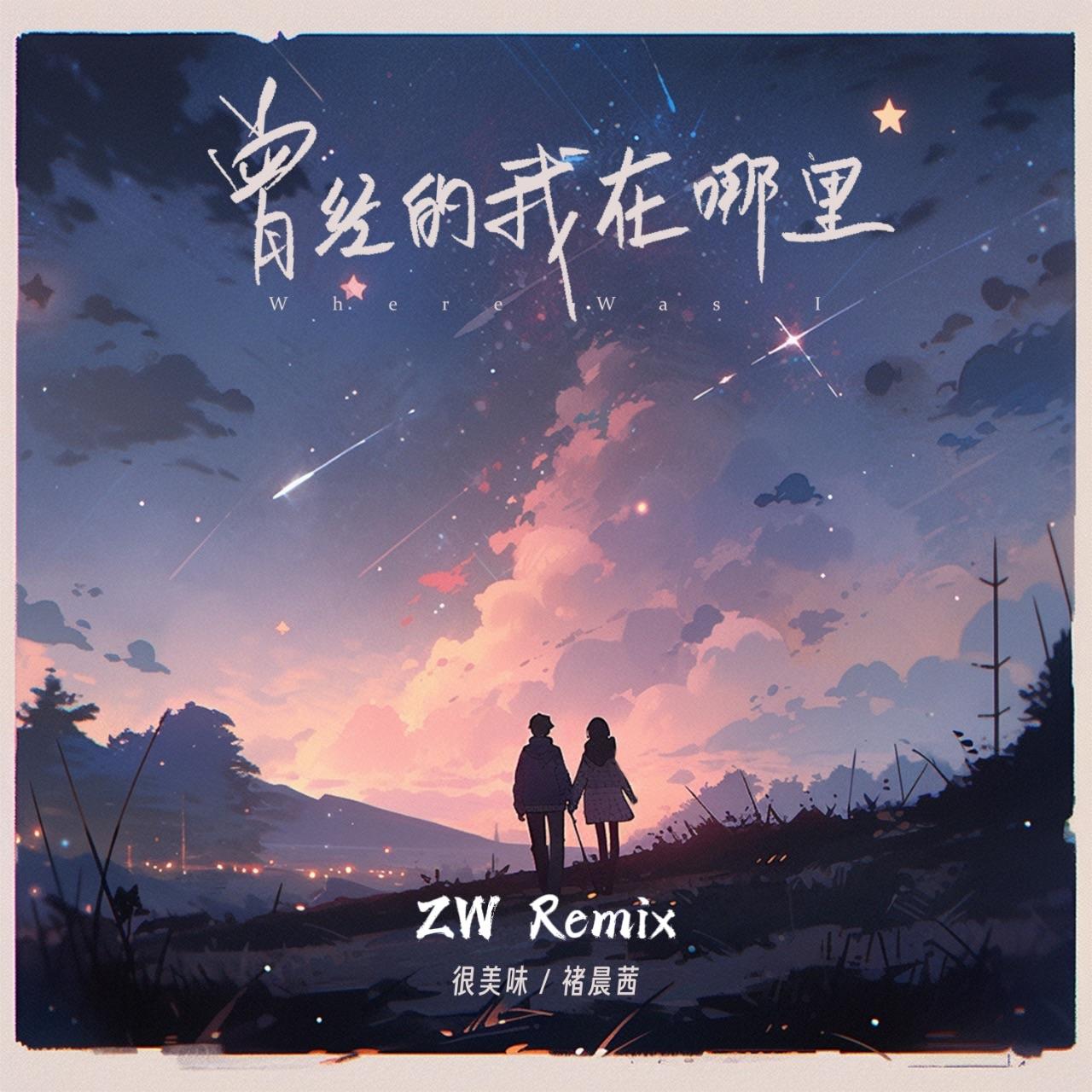 很美味-曾经的我在哪里（ZW Remix）封面