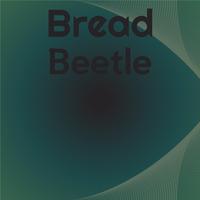 Bread Beetle