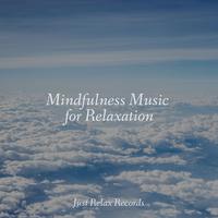 Mindfulness Music for Relaxation