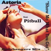 Show Me What You Got (Bodybangers Mixes) (feat. PITBULL)