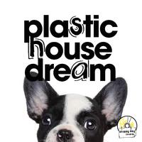 Plastic House Dream