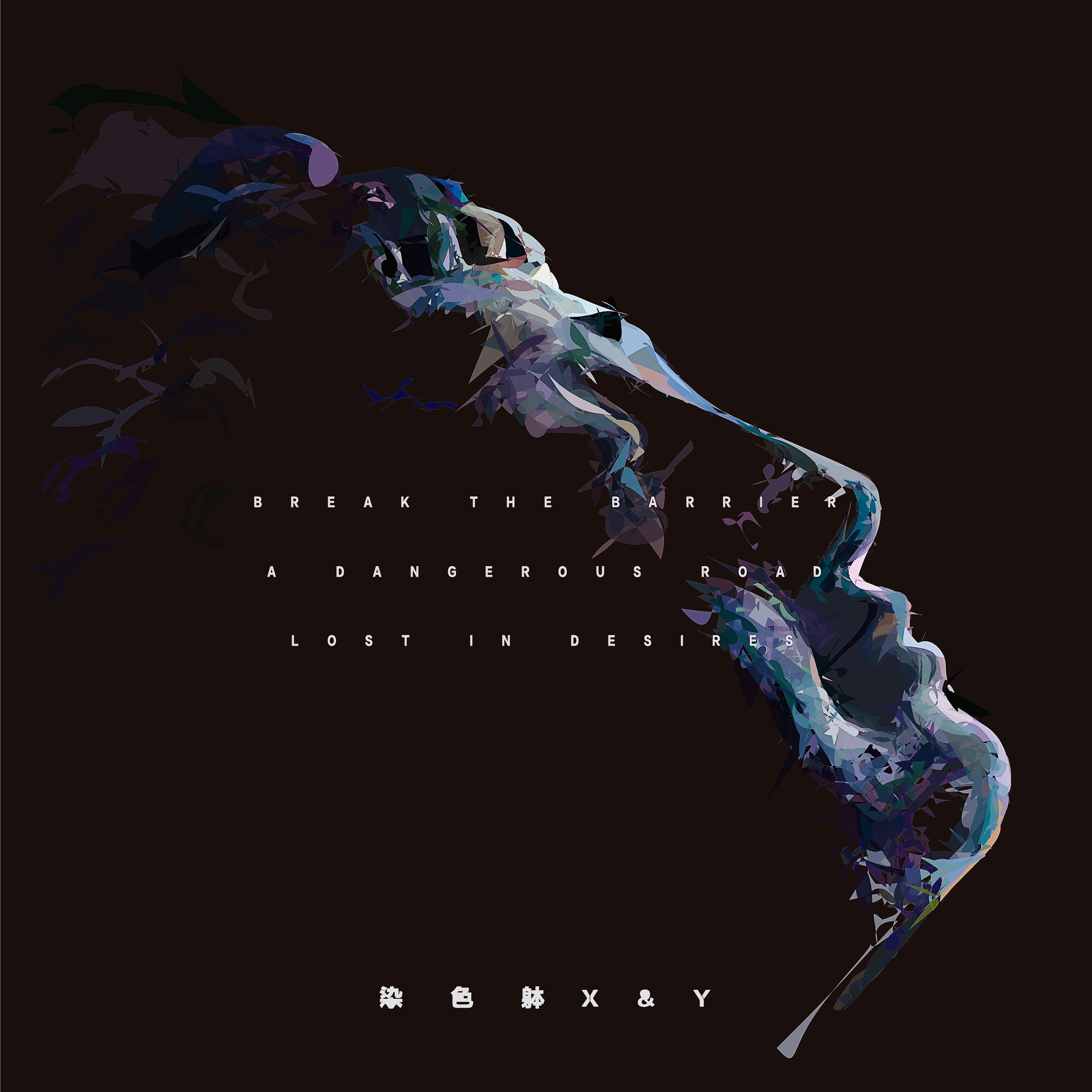 破障Break the barrier - 染色体封面