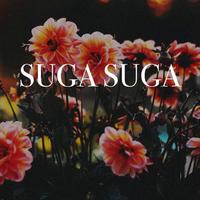 The Party Hits All Stars资料,The Party Hits All Stars最新歌曲,The Party Hits All StarsMV视频,The Party Hits All Stars音乐专辑,The Party Hits All Stars好听的歌