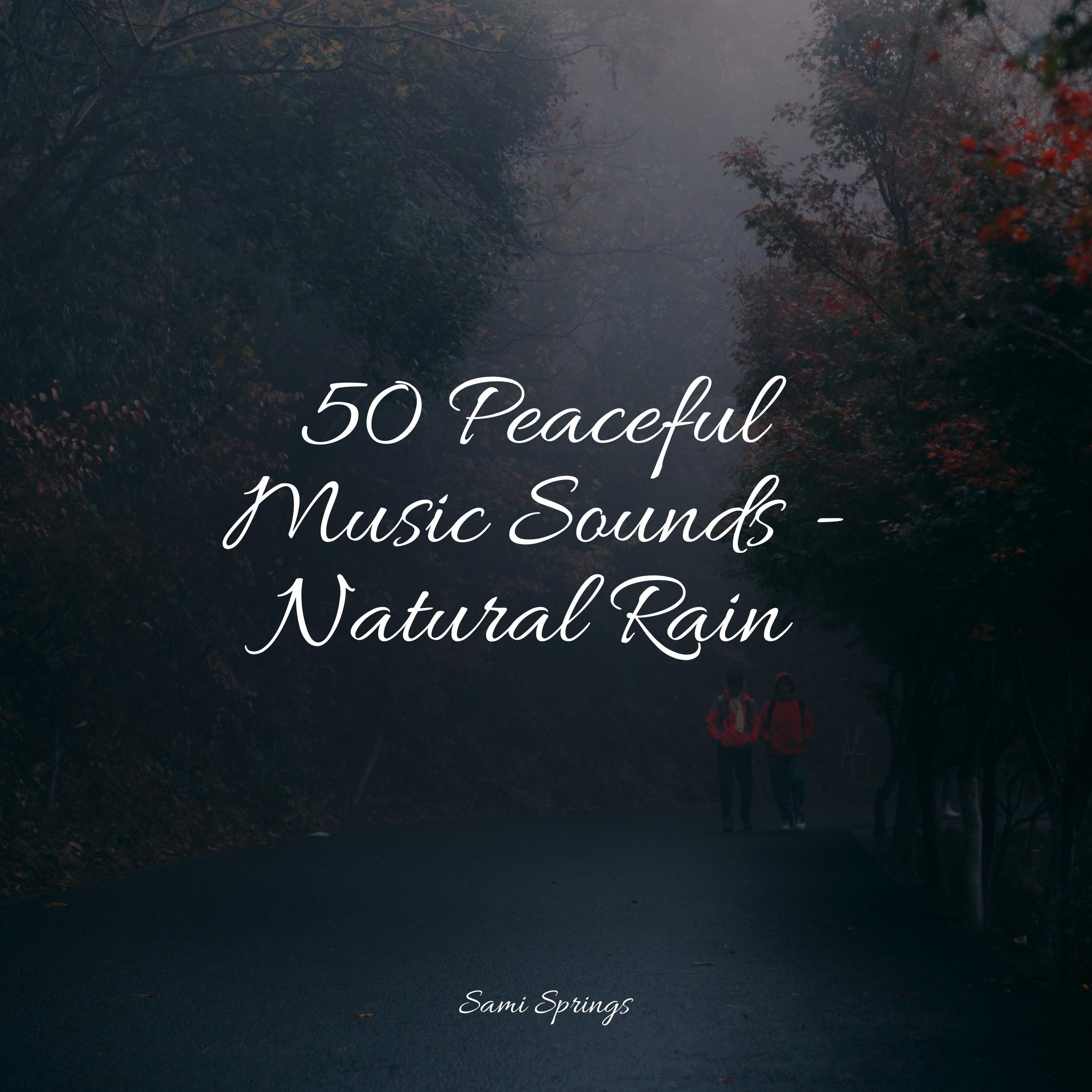 50 Peaceful Music Sounds Natural Rain Sounds of Nature White Noise