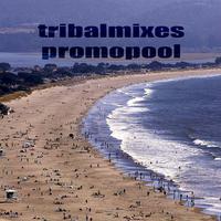 Tribalmixes Promopool