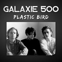 Plastic Bird