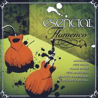 Esencial Flamenco Vol.9