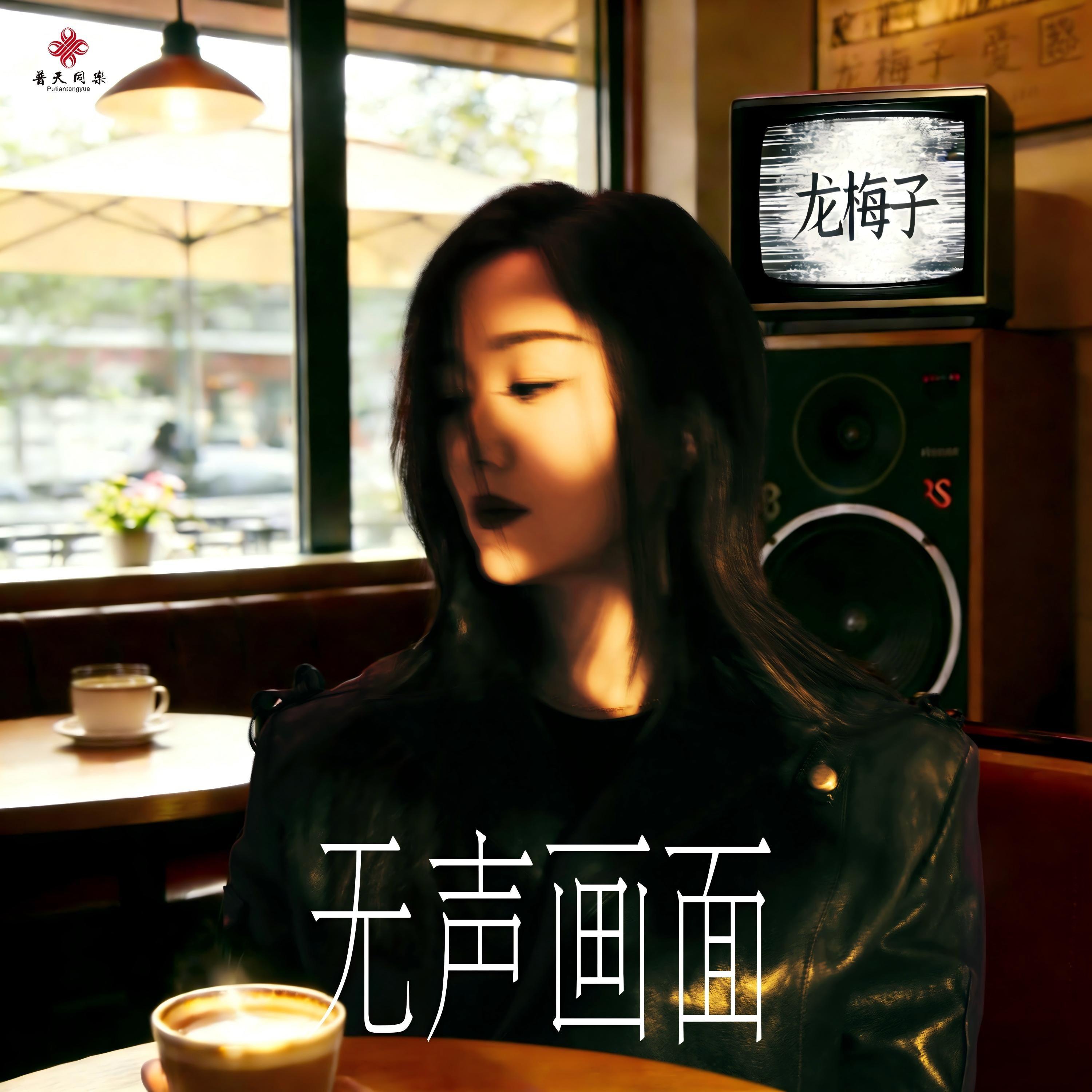 龙梅子 ·《无声画面》