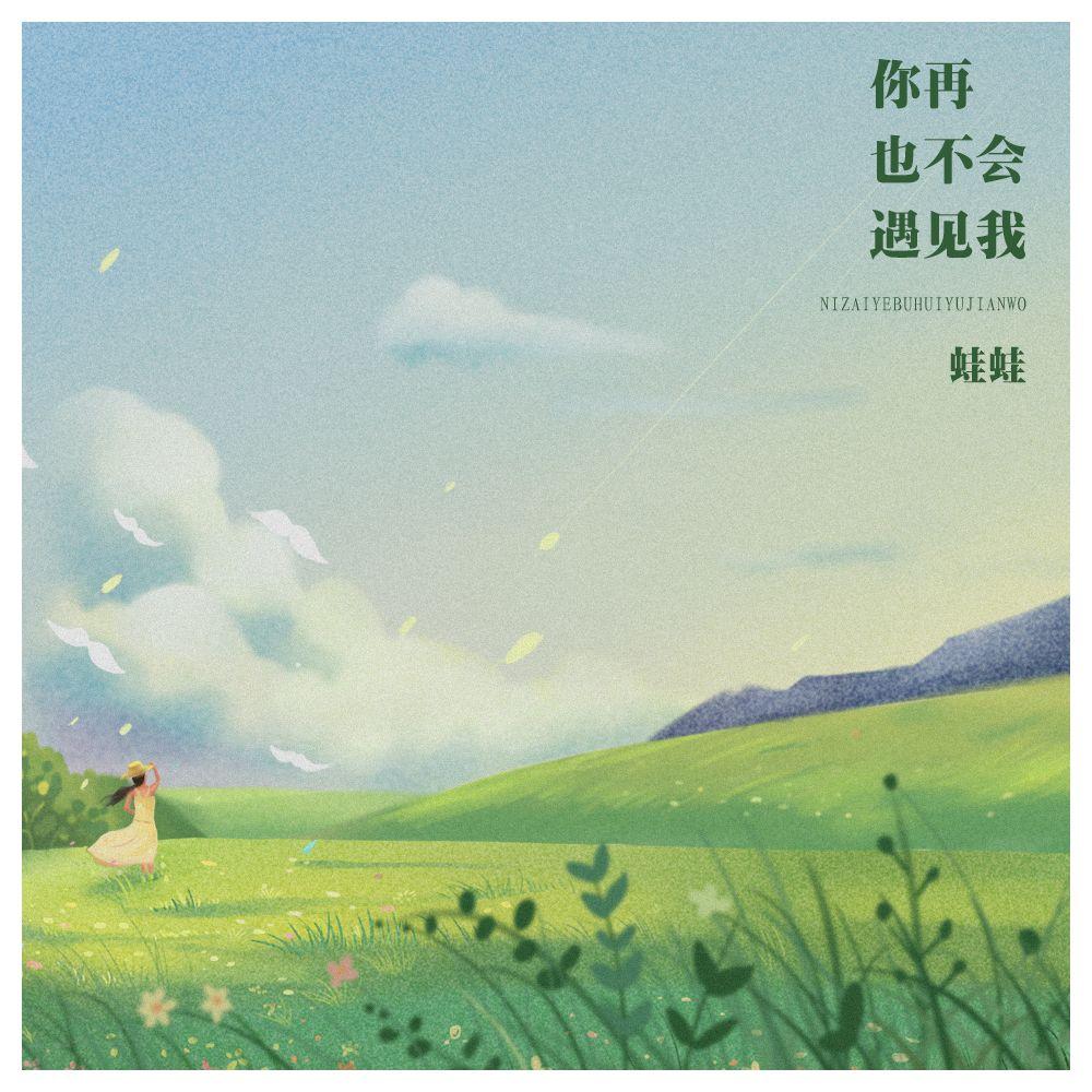 你再也不会遇见我