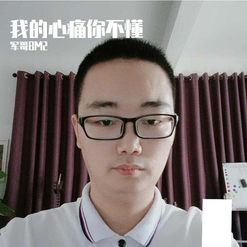 我的心痛你不懂封面