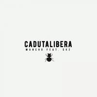 Caduta libera